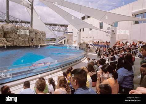 Corpus christi texas aquarium hi-res stock photography and images - Alamy