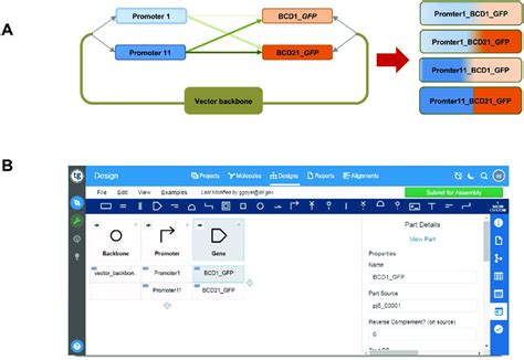 A. Schematic of combinatorial assembly of pre-made DNA assembly pieces ...