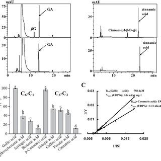 Enzymatic analysis of the recombinant UGT proteins with different... | Download Scientific Diagram