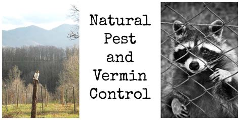 Natural Pest and Vermin Control - Backdoor Survival