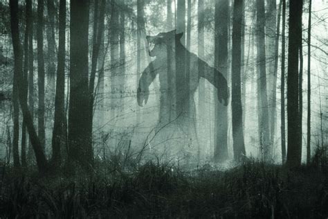 Legend or lore: Michigan's Dogman still haunts people to this day