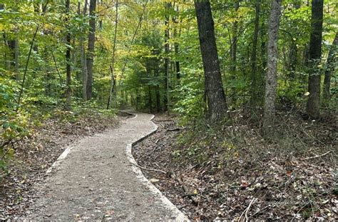 New River Gorge Hiking Trails