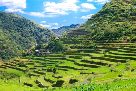 The Rice Terraces of the Philippines – Oro Gold Stores