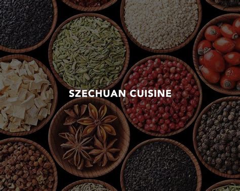 Szechuan Cuisine | Explore U. City