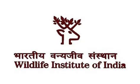 Wildlife Institute of India Recruitment 2024 - Principal Project Associate Vacancy