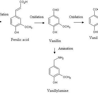 😂 Vanillyl alcohol boiling point. vanillyl ethyl ether, 13184. 2019-03-07