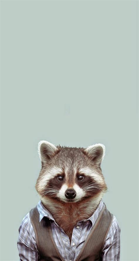 60 Cute Animals iPhone Wallpapers You Would Love to Download