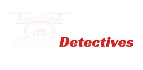 Always Flying™ Program Reduce Downtime with Expert Care – Drone Detectives