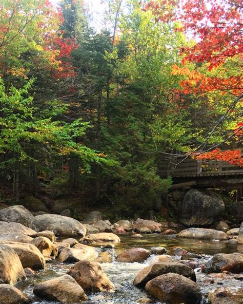 Fall Foliage - Maine Tourism Association