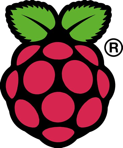 The 'Raspberry PI' logo [1134x1367] : r/DesignPorn