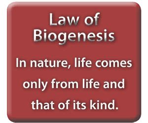 The Law of Biogenesis [Part II] – The Creation Club | A Place for Biblical Creationists to Share ...