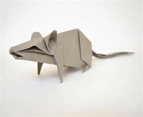 Rat — Origami