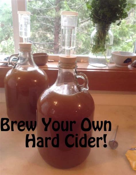 How to Make Hard Cider: Homebrew it! | Recipe | Making hard cider, Hard cider, Hard apple cider