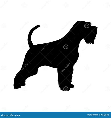 Giant Schnauzer Dog Silhouette Cartoon Vector | CartoonDealer.com ...