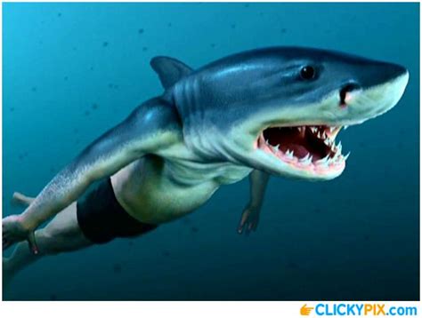 Shark Hybrid Animals – 20 Shark Combo Pictures | That's Disgusting | Pinterest | Shark, Animal ...