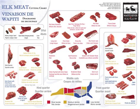 The Cuts of Meat in an Elk | eHow