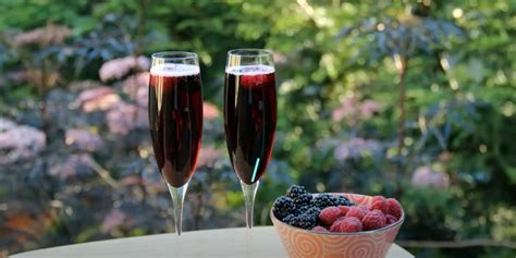 Non-Alcoholic Champagne Recipe - Recipes.net