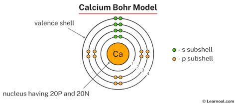 Bohr Model Diagram For Calcium Calcium Electron Configuratio