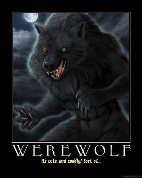 Werewolf Werewolf Quotes, Werewolf Art, Fabulous Fox, Fear Of Love ...