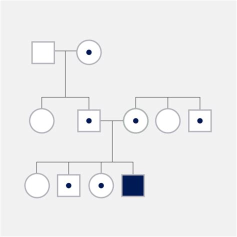 Recessive Traits and Alleles