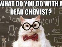 64 Chemistry Cat Meme ideas | chemistry cat, chemistry, funny memes