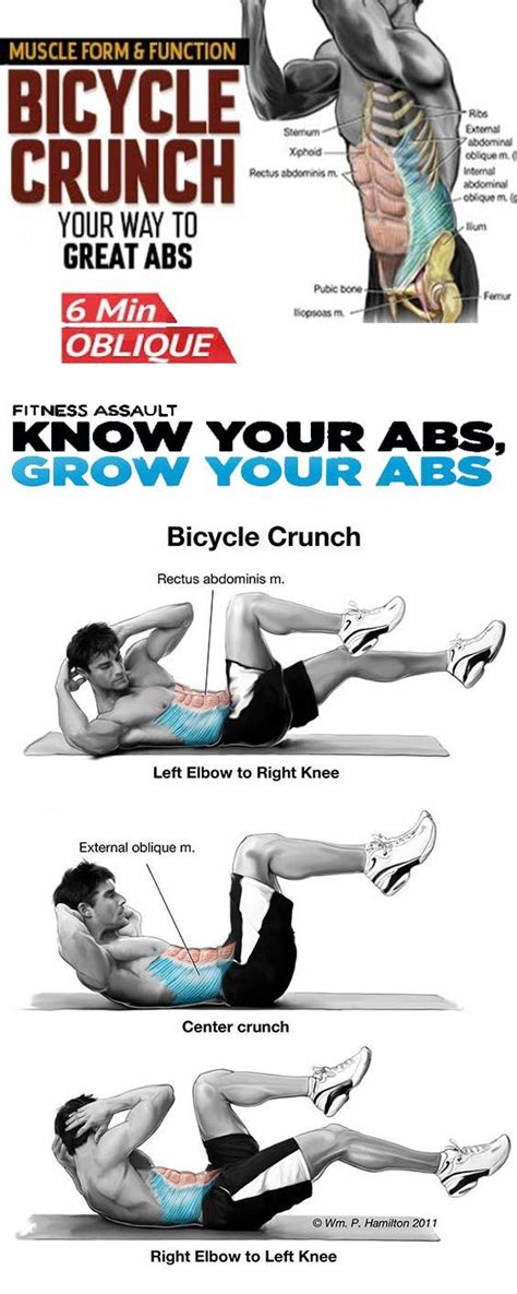 Bicycle Crunch | Bicycle crunches, Core training exercises, Workout guide