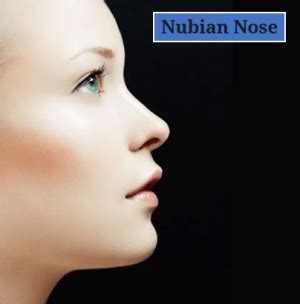 Sniff This!: The Different Types of Nose Shapes, Explained