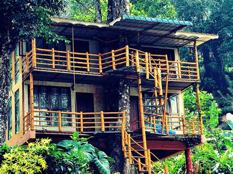 Looking to stay in a Tree house in Kerala ? 15 Best Treehouse Resorts - Kerala Tourism Blog