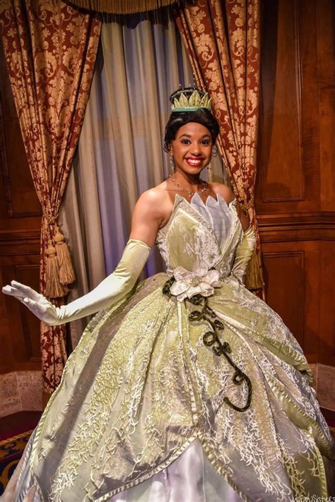 Pin by Lyz.317 on Disney, Where Dreams Begin | Princess tiana costume, Disney princess dresses ...