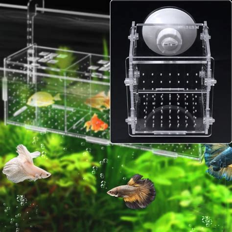 Aquarium Fish Breeding Isolation Box Fish Tank Incubator Breeder For ...