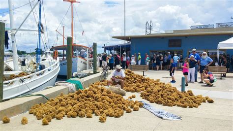 Ultimate Travel Guide To The Sponge Docks in Tarpon Springs, Florida ...