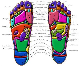 Go Slim With Patch: Reflexology - chart of bottom foot