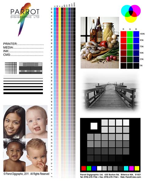 Printer Test Page Black And White Pdf - Druckerzubehr 77 Blog