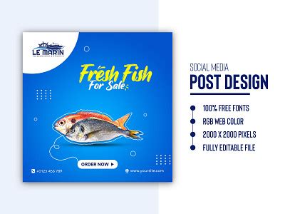 Fish Banner designs, themes, templates and downloadable graphic elements on Dribbble