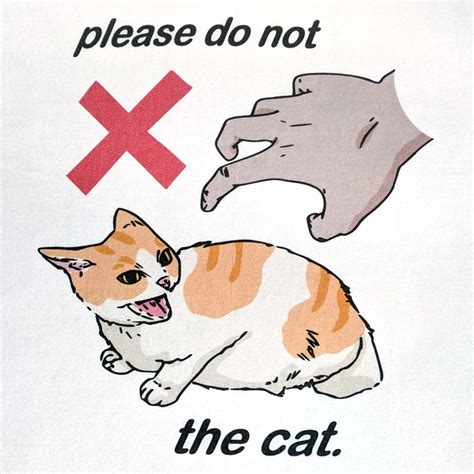 Please Do Not The Cat — Ladies V-Neck – Legboot