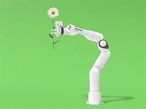 Franka: A Robot Arm That’s Safe, Low Cost, and Can Replicate Itself - IEEE Spectrum