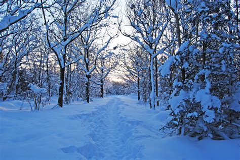 European Winters - Varberg, Sweden | Winter