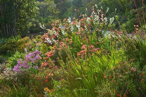 Tresco Abbey Garden - clivenichols.com