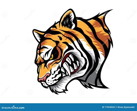 Angry Tiger Head Vector Illustration | CartoonDealer.com #77024034