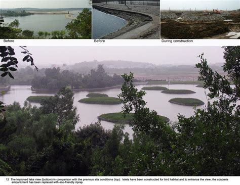 Qinhuangdao Beach Restoration: An Ecological Surgery Turenscape