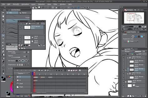 Nord Stabil ländlich clip studio paint timeline Beeindruckend ...