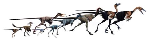 Troodontidae - Dinopedia - the free dinosaur encyclopedia