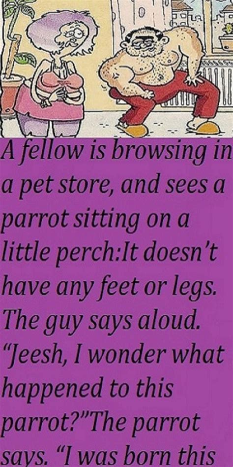 Funny Joke ‣ My Wife, My Parrot And UPS Man | Funny | Mom jokes, Funny ...