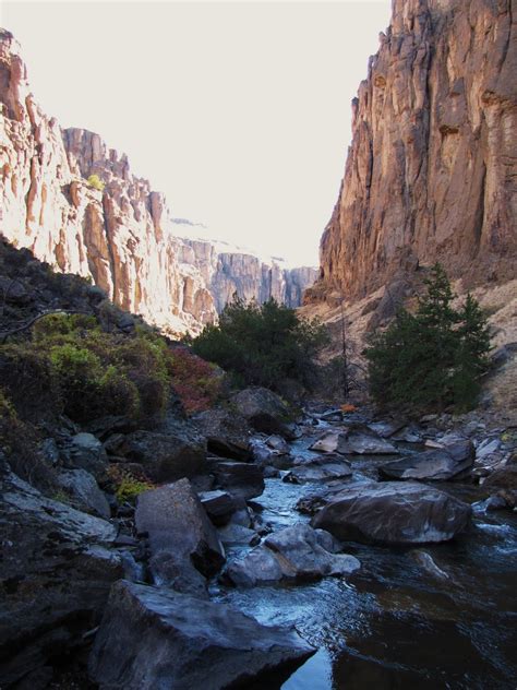 Ricks Reel Adventures: Jarbidge River, ID