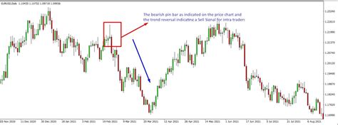 Bearish Pin Bar Candlestick Pattern - The Forex Geek