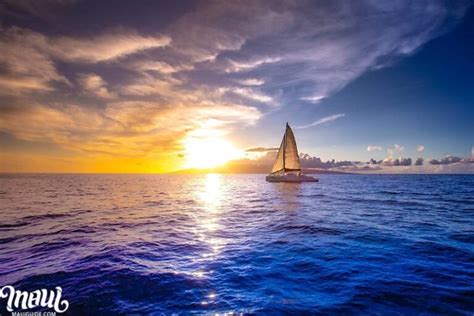 Maui Sunset Dinner Cruises | Best Hawaii Cocktail and Whale Cruise