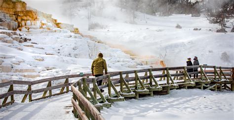 Yellowstone National Park In The Winter | Winter Vacations