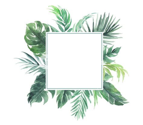 Leaf Border Vector at Vectorified.com | Collection of Leaf Border ...