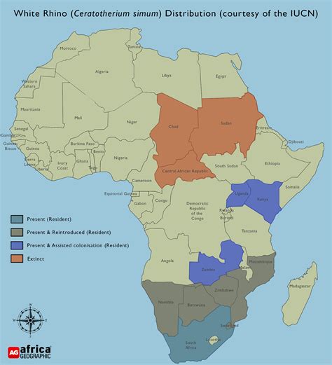 white-rhino-distribution-3 - Africa Geographic