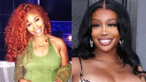 Did SZA Undergo Plastic Surgery? Unveiling the Truth Behind the Plastic Surgery Rumors — citiMuzik